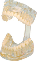 d164b4ef-23c5-46a4-998d-7ee2f4fad559