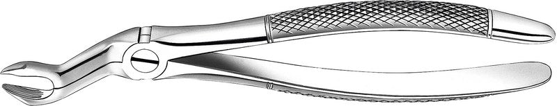 03d8fe89-295d-4f40-a5e1-cb6166040b9b