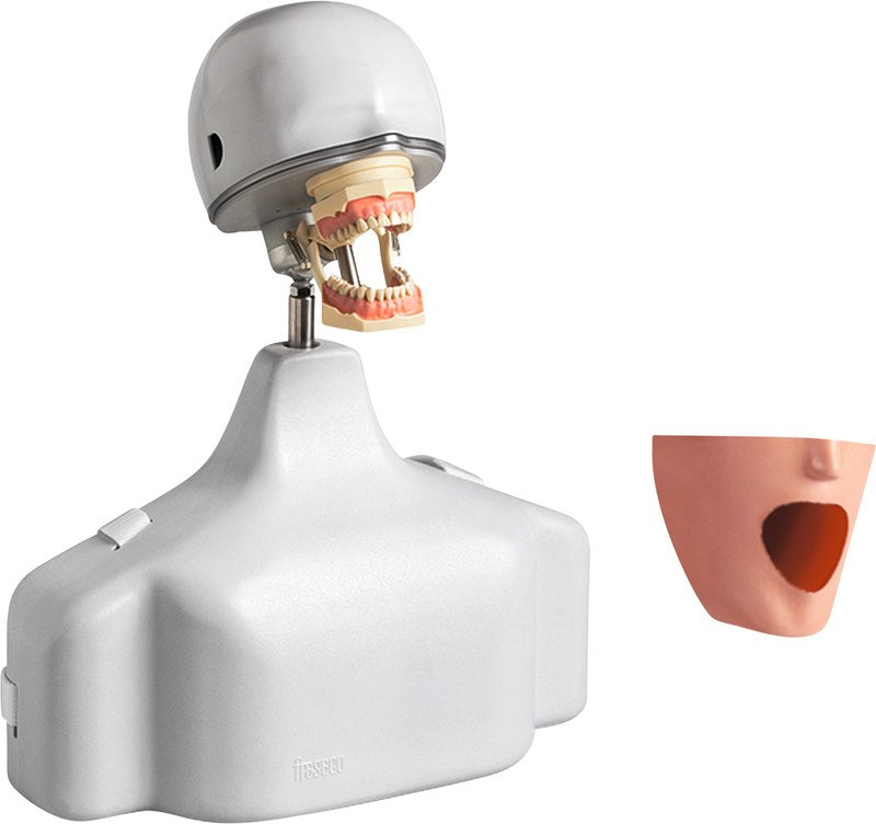 2852a0da-e989-4d1f-951f-6479194b80ea