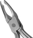 a802df6e-0043-4454-89bd-a7811239a537