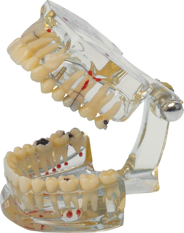 76d0cf7a-278a-4e09-bc8b-03a7a6e9b9c2