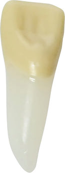 68ec8ae6-d238-4bbe-988c-fa079f15dba8