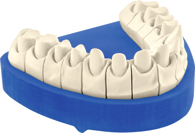 d1c9669f-d078-4e80-8970-4970a1c683f1