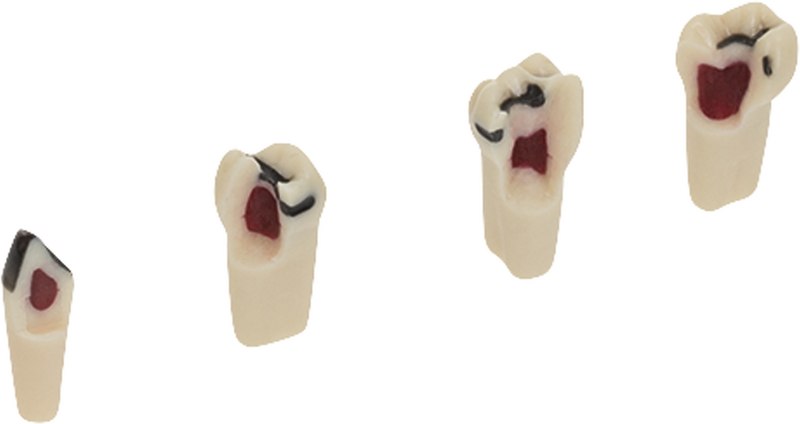 7f2ce18f-639d-4653-b04f-966386d0de05