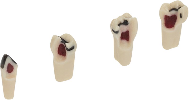 f6568a31-2e91-478c-b07b-74b25576acde