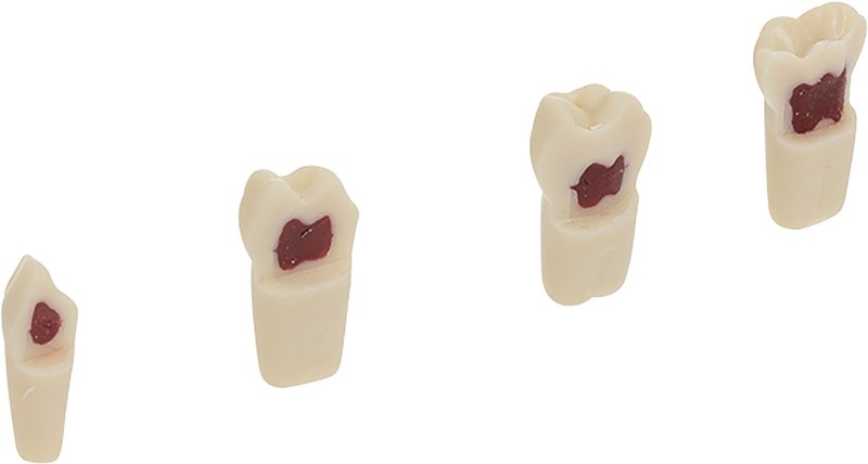 03de7f75-c73e-4631-915e-7a3266c3889a