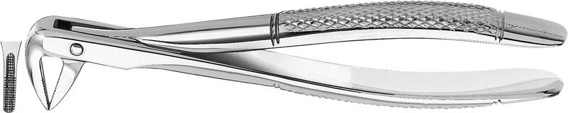 3b5805dd-f985-41ee-ada6-02c365e7a148