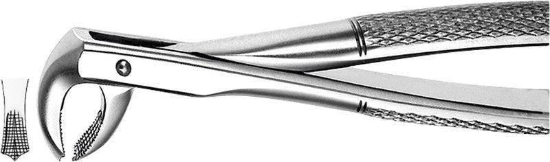 1424ad0e-e96d-4c5a-bad4-503aa48ac253