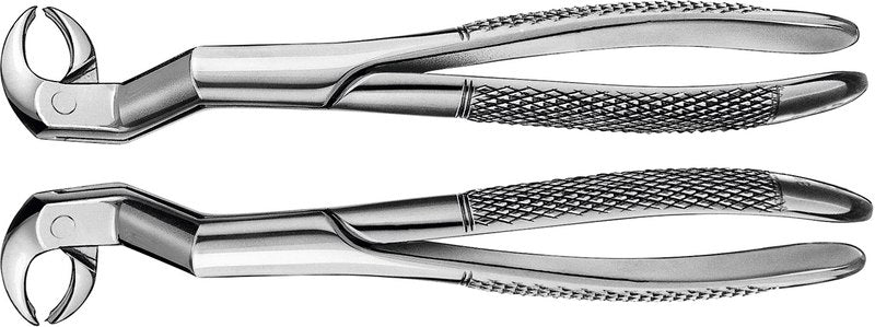 6f5bd936-b3e1-4e19-b435-a62cbd570de0