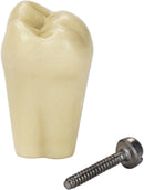 6888531c-5b3b-45a7-8213-7f754b57cd67