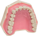 a358ee2d-26f9-4728-ad13-5cbe920ec38d