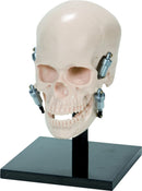 bd966d6e-3ac2-44fa-aaf9-d90f5cecd23f