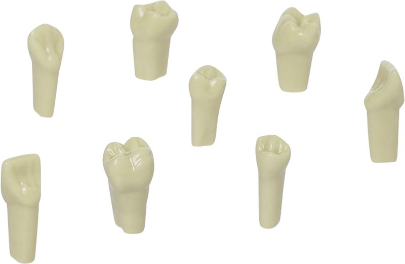20c697c3-40c6-4e60-afca-21ee4b188f76