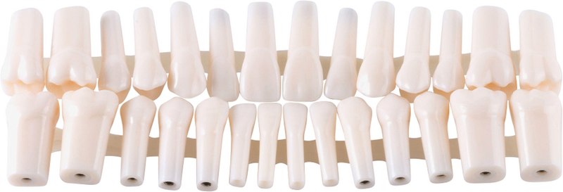 b2588cab-b946-4a49-ad07-1063c4b7e1c1